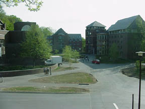 Frank, Drake, Curtis