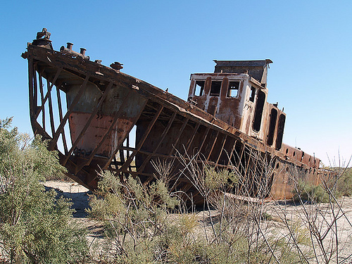The rusted skeleton of a ship sits on white desert sand, surrounded by scrubby bushes.